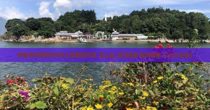 伊春去内蒙呼伦贝尔大草原四日游