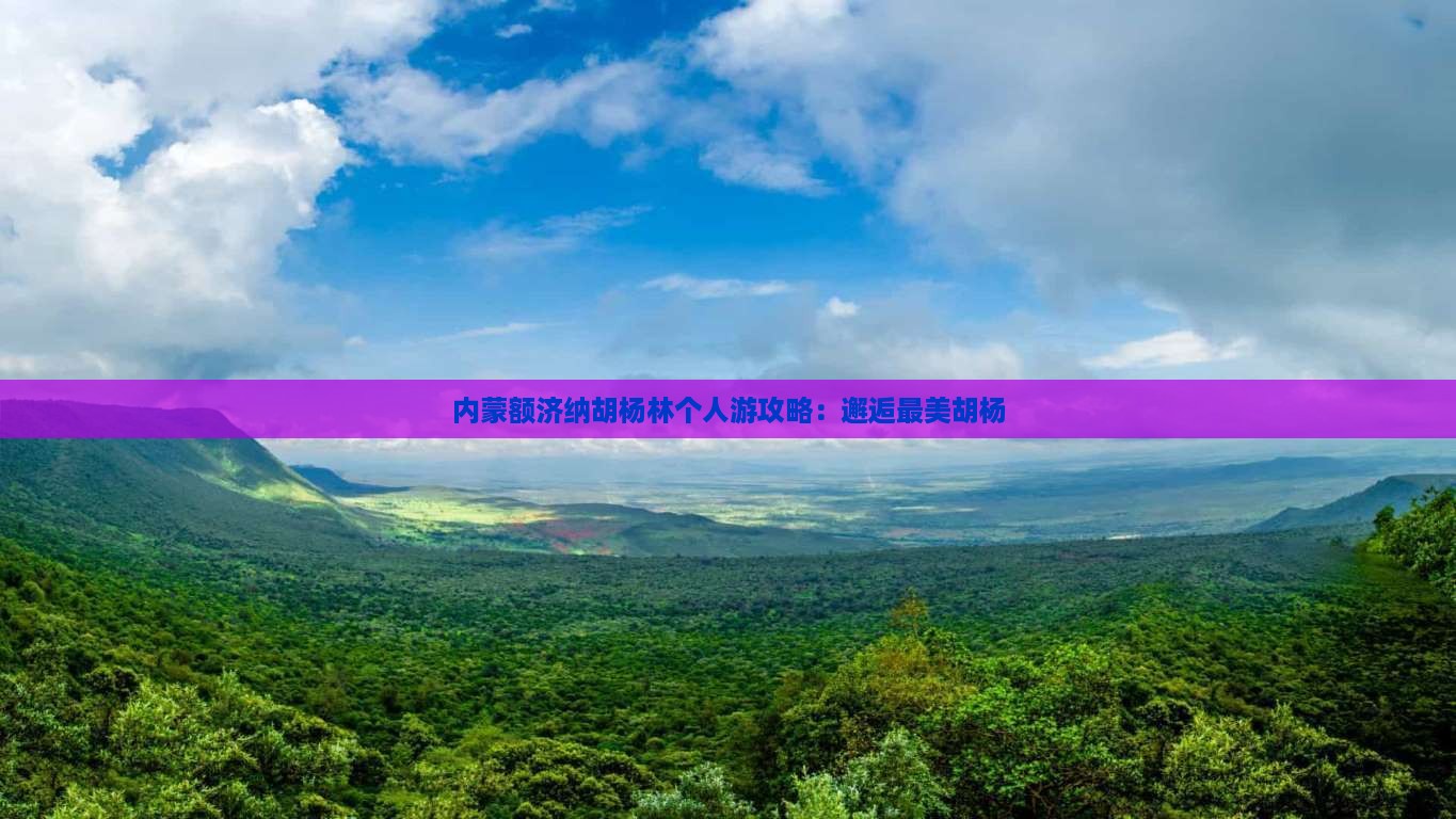 日照去内蒙额济纳胡杨林个人游