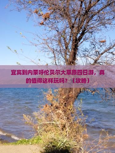 宜宾到内蒙呼伦贝尔大草原四日游