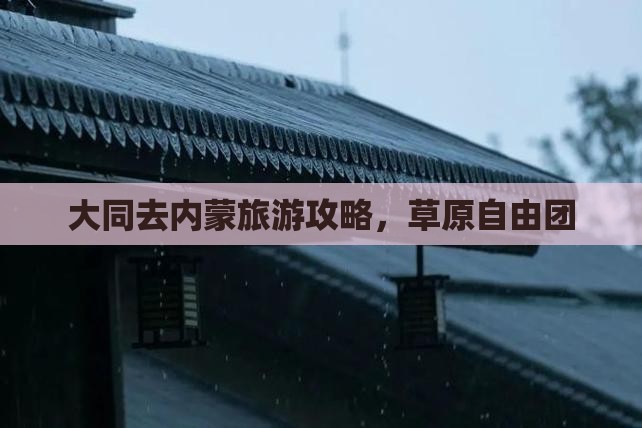 大同去内蒙自由团