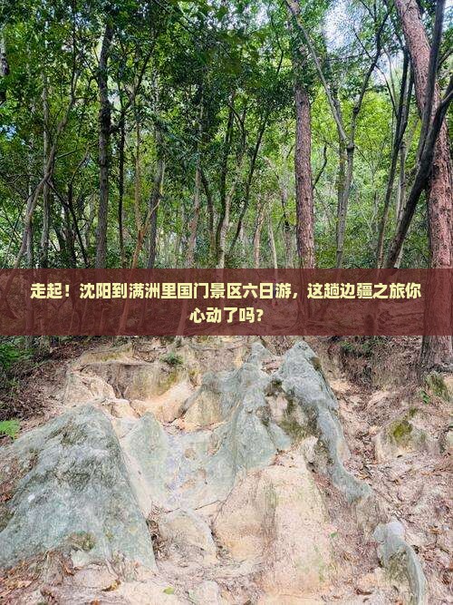 沈阳去内蒙满洲里国门景区六日游