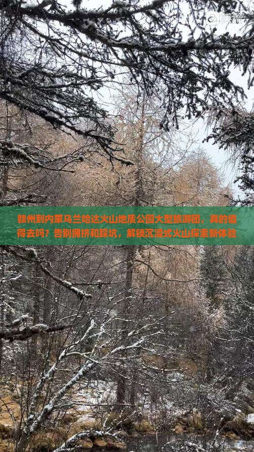 赣州到内蒙乌兰哈达火山地质公园大型旅游团