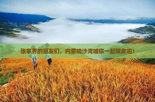 张家界到内蒙响沙湾团体旅游