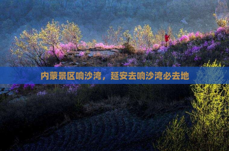 延安去内蒙响沙湾必去地 延安去内蒙响沙湾必去地