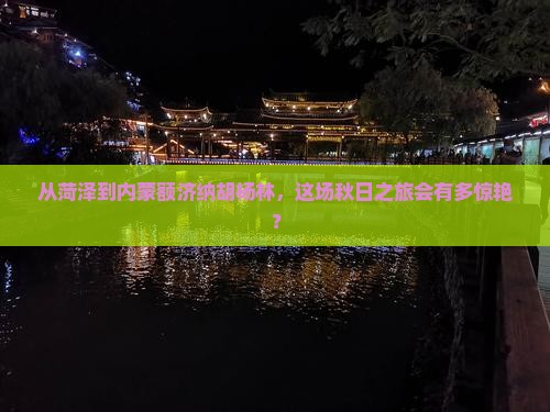 菏泽去内蒙额济纳胡杨林旅游