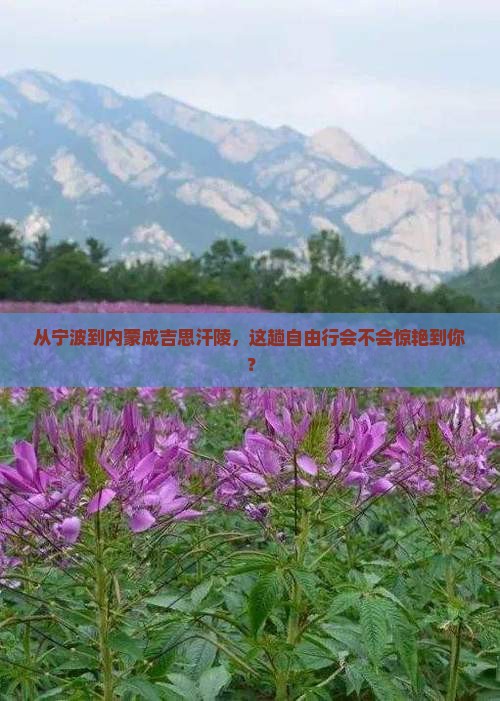 宁波去内蒙成吉思汗陵自由行