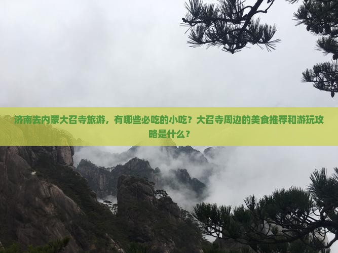 济南去内蒙大召寺旅游小吃