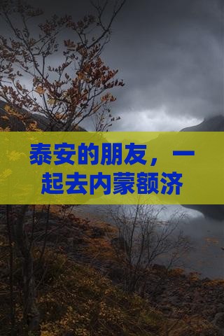 泰安去内蒙额济纳胡杨林大型旅游团