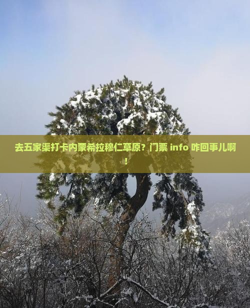 五家渠去内蒙希拉穆仁草原门票