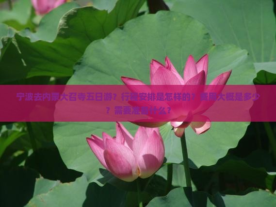 宁波去内蒙大召寺五日游