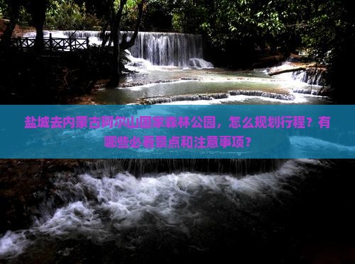 盐城去内蒙阿尔山国家森林公园景点
