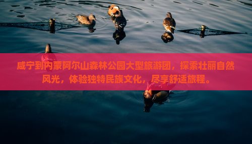 咸宁到内蒙阿尔山国家森林公园大型旅游团