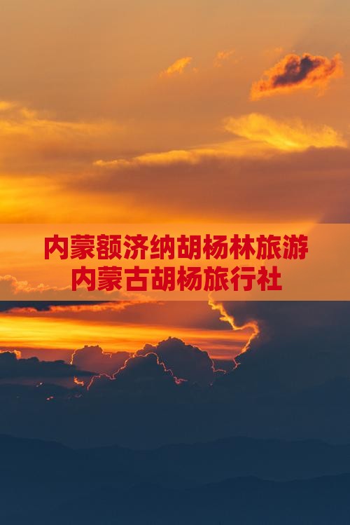 乌海市到内蒙额济纳胡杨林旅行社