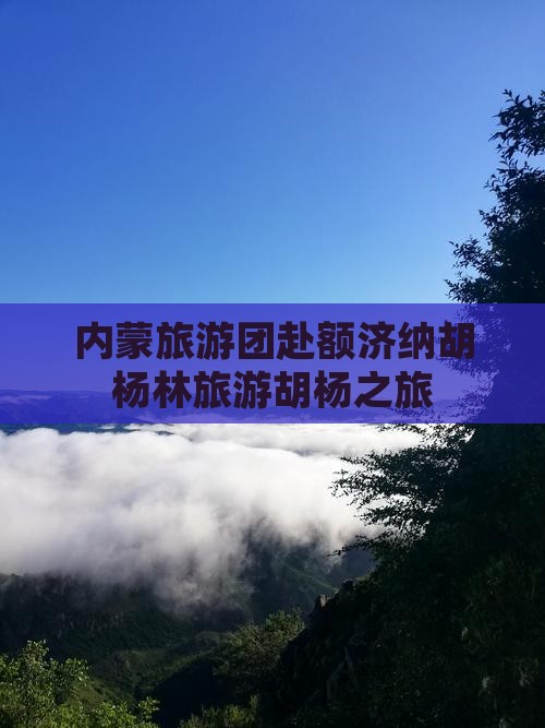 秋天去内蒙额济纳胡杨林大型旅游团
