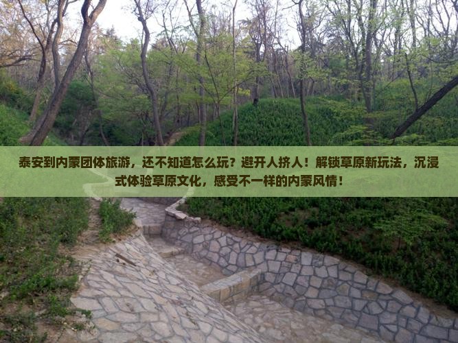泰安到内蒙团体旅游
