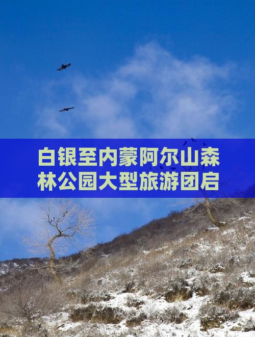 白银至内蒙阿尔山森林公园大型旅游团启程