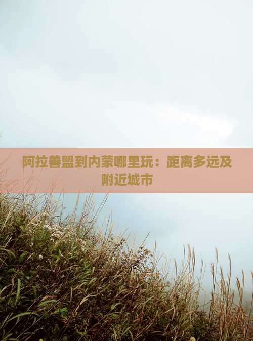 阿拉善盟到内蒙哪里玩：距离多远及附近城市