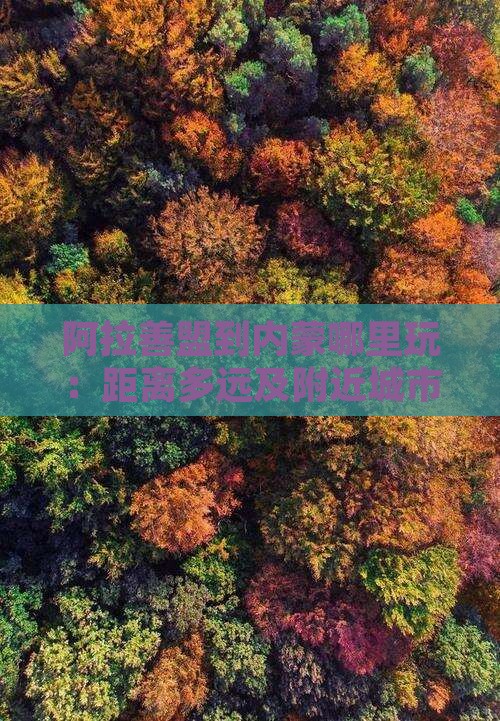 阿拉善盟到内蒙哪里玩：距离多远及附近城市