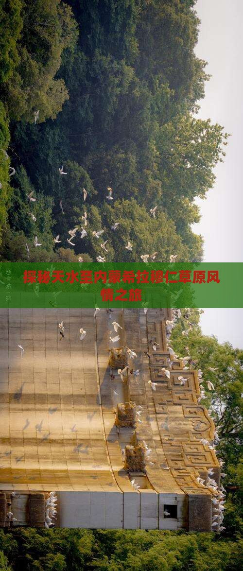 探秘天水至内蒙希拉穆仁草原风情之旅
