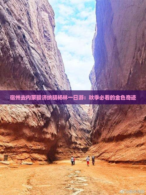 宿州去内蒙额济纳胡杨林一日游：秋季必看的金色奇迹