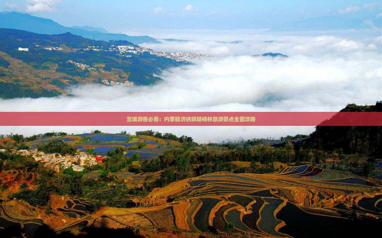 宣城游客必看：内蒙额济纳旗胡杨林旅游景点全面攻略