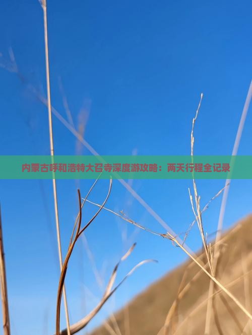 内蒙古呼和浩特大召寺深度游攻略：两天行程全记录