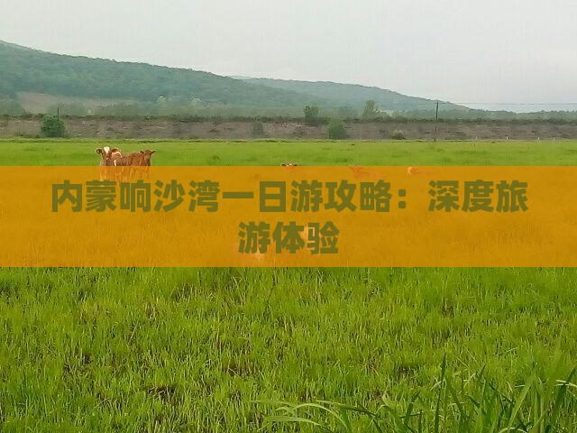内蒙响沙湾一日游攻略：深度旅游体验