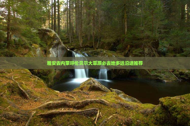 雅安去内蒙呼伦贝尔大草原必去地多远沿途推荐