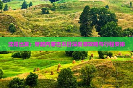 沈阳出发：穿越内蒙古五日深度游攻略与行程安排