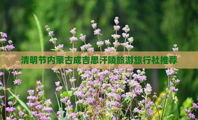 清明节内蒙古成吉思汗陵旅游旅行社推荐
