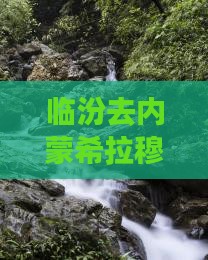 临汾去内蒙希拉穆仁草原攻略：详细路线