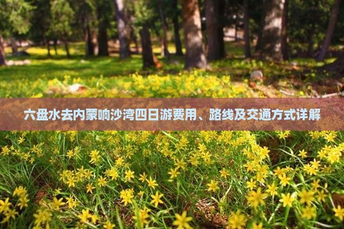 六盘水去内蒙响沙湾四日游费用、路线及交通方式详解