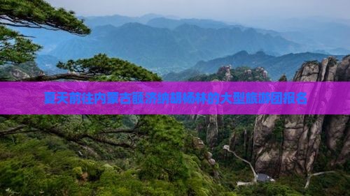 夏天前往内蒙古额济纳胡杨林的大型旅游团报名