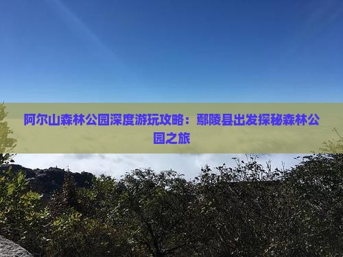 阿尔山森林公园深度游玩攻略：鄢陵县出发探秘森林公园之旅