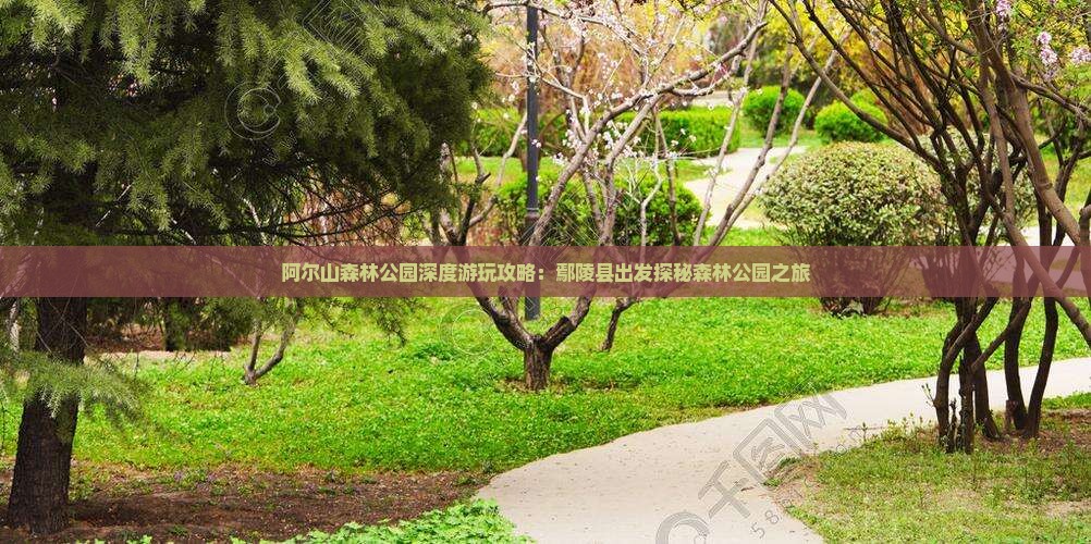阿尔山森林公园深度游玩攻略：鄢陵县出发探秘森林公园之旅