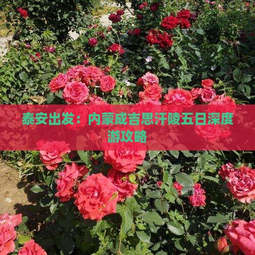 泰安出发：内蒙成吉思汗陵五日深度游攻略