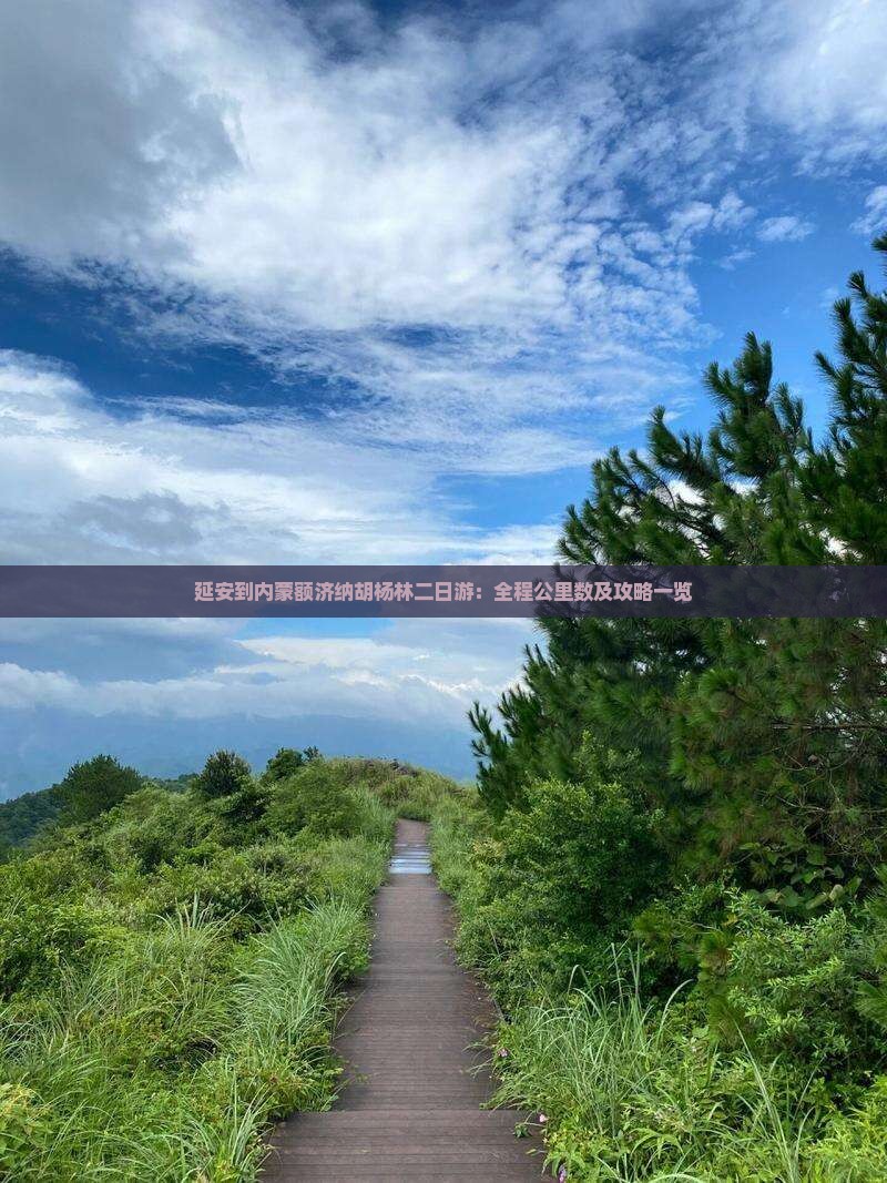 延安到内蒙额济纳胡杨林二日游：全程公里数及攻略一览
