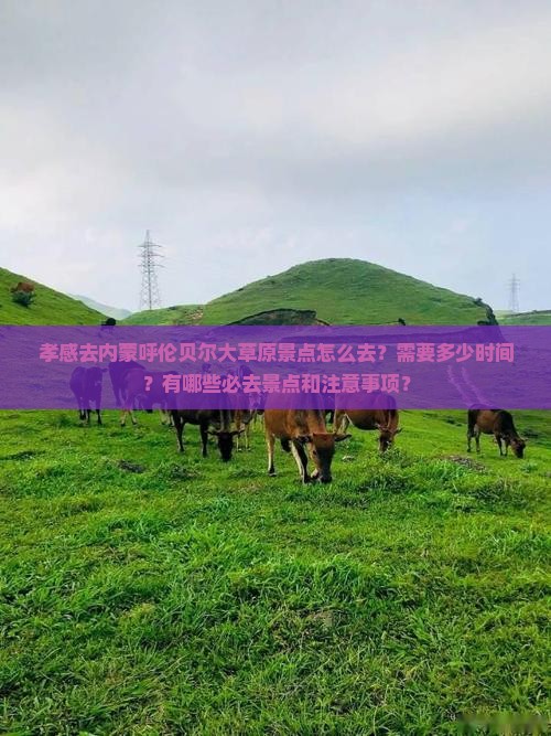 孝感去内蒙呼伦贝尔大草原景点