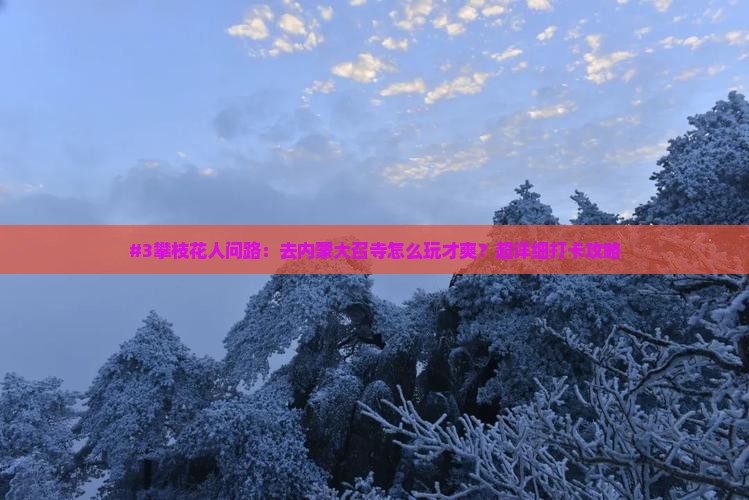 攀枝花到内蒙大召寺景点