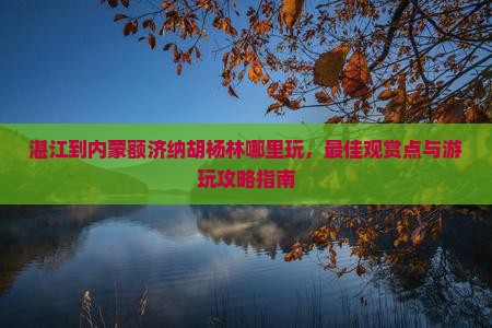 湛江到内蒙额济纳胡杨林哪里玩