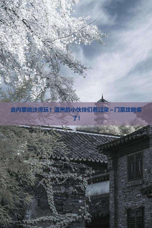温州去内蒙响沙湾门票