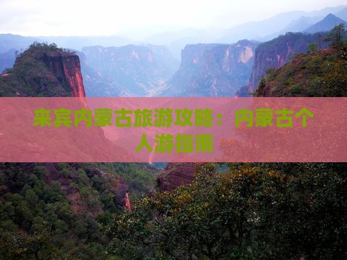 来宾到内蒙个人游