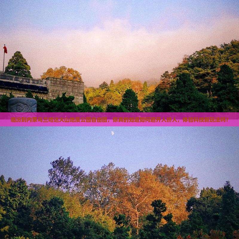 临汾到内蒙乌兰哈达火山地质公园自由团