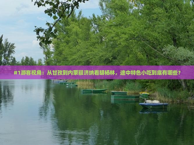 甘孜去内蒙额济纳胡杨林旅游小吃