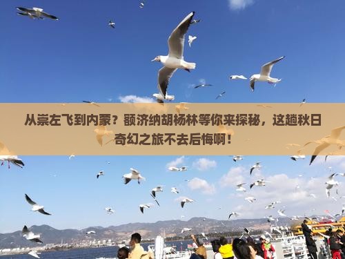 崇左到内蒙额济纳胡杨林一日游