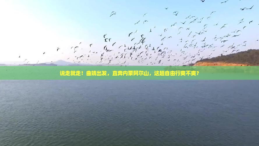 曲靖去内蒙阿尔山国家森林公园自由行