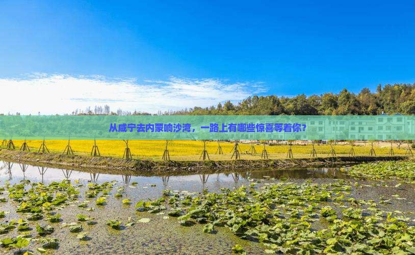咸宁到内蒙响沙湾哪里玩
