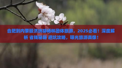 合肥到内蒙额济纳胡杨林团体旅游