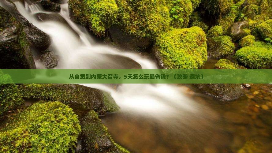 自贡到内蒙大召寺门票