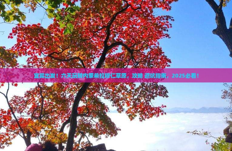 宜宾到内蒙希拉穆仁草原六日游